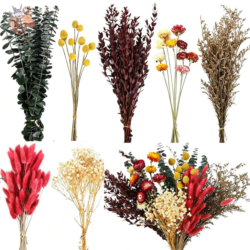 Wedding Floral Supply - Dried Flowers Bulk Set 7 Kinds