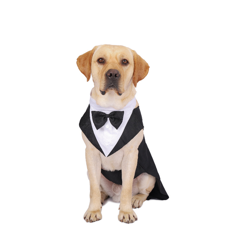 Pet Dog Clothes Fashion Party  - Suit Supply Wedding Party recension och pris